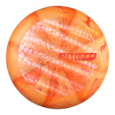 Proto Putter - Ricky Wysocki