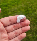 Liquid Chalk - Lilly EQ