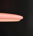 Buzzz ESP Paul McBeth Signature-Serie