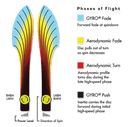 Volt Plasma